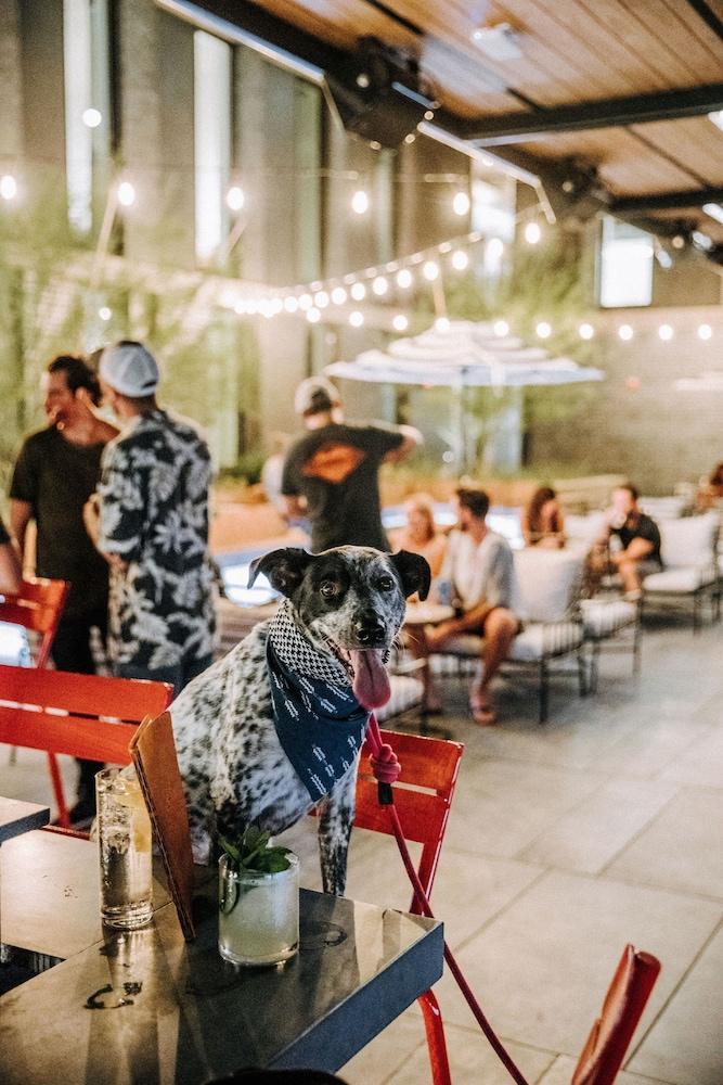 Arrive Austin Hotel Ngoại thất bức ảnh